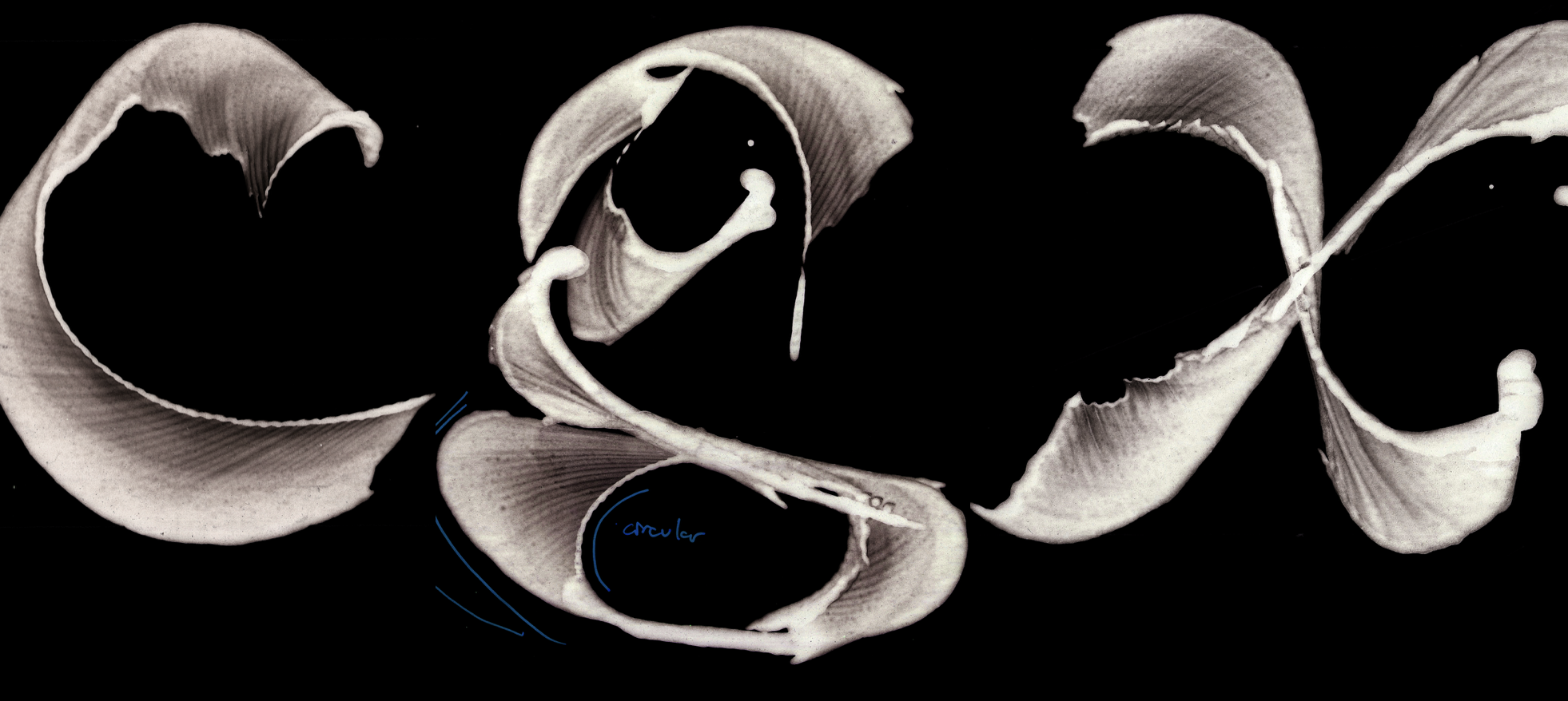 Detail of contribution by&nbsp;Rebekka Hausmann, Lucas Portron and Ratchanon ‘Vee’ Boongsrithong